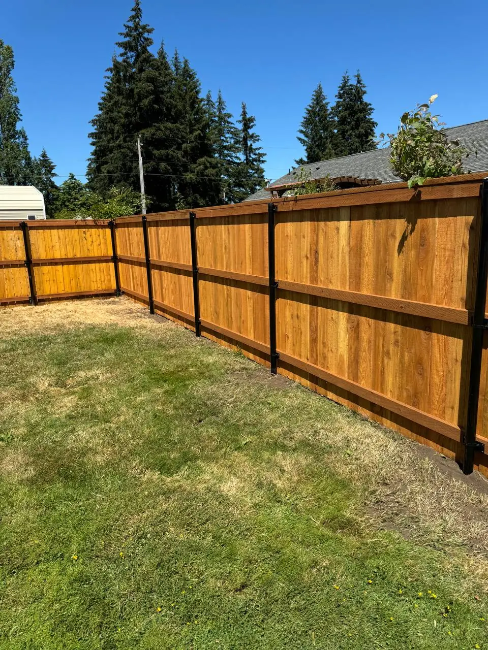 Cedar privacy fence built on black powder-coated metal posts in Western Washington